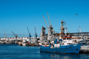 ships on a harbor