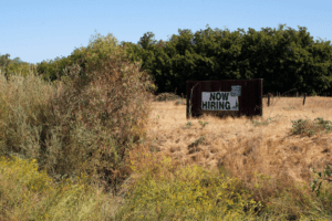 Now Hiring sign in the middle of nowhere