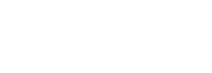 Cargowise - logo white 1